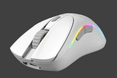 Glorious Model D 2 Wireless Gaming Mouse